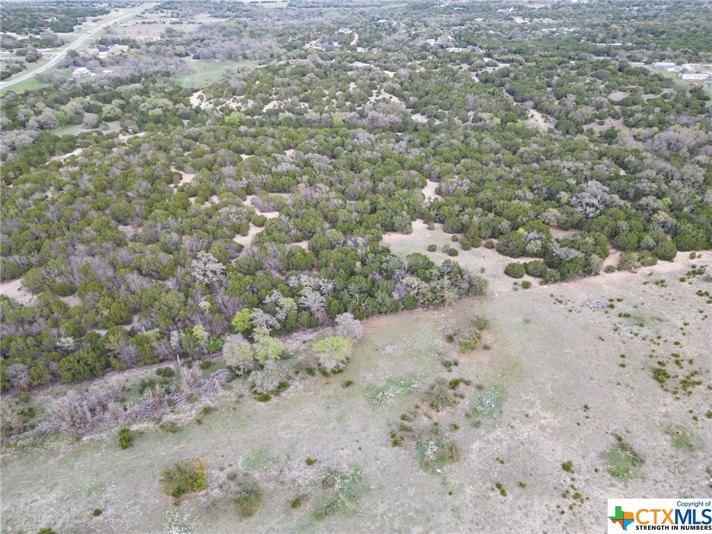 50.44 Acres County Road 3100 Property Photo 20