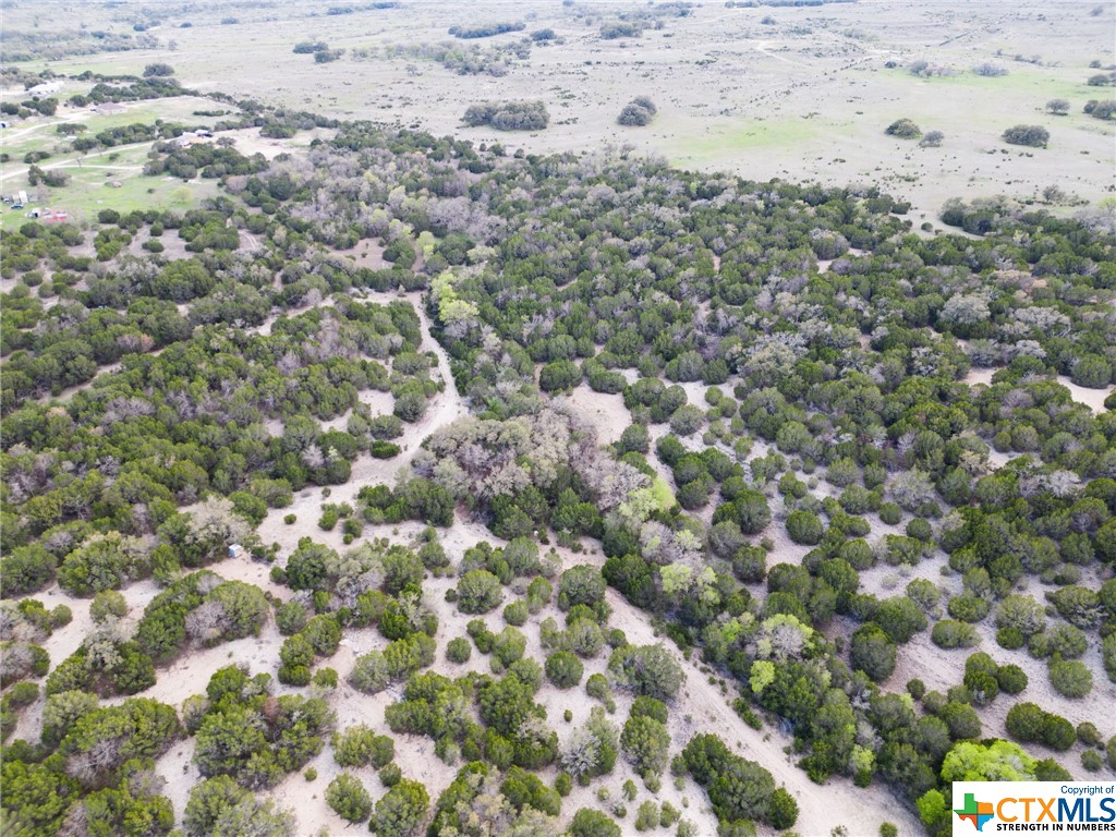 50.44 Acres County Road 3100 Property Photo 21