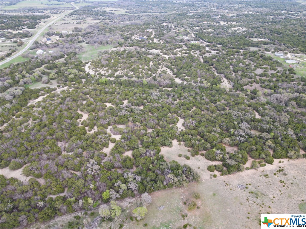 50.44 Acres County Road 3100 Property Photo 22