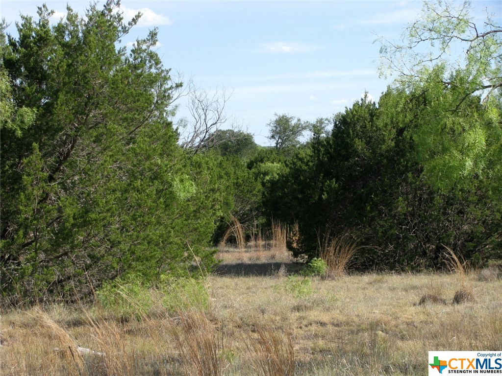 Lot 20 Ph 4 Pr 42126 Property Photo 3