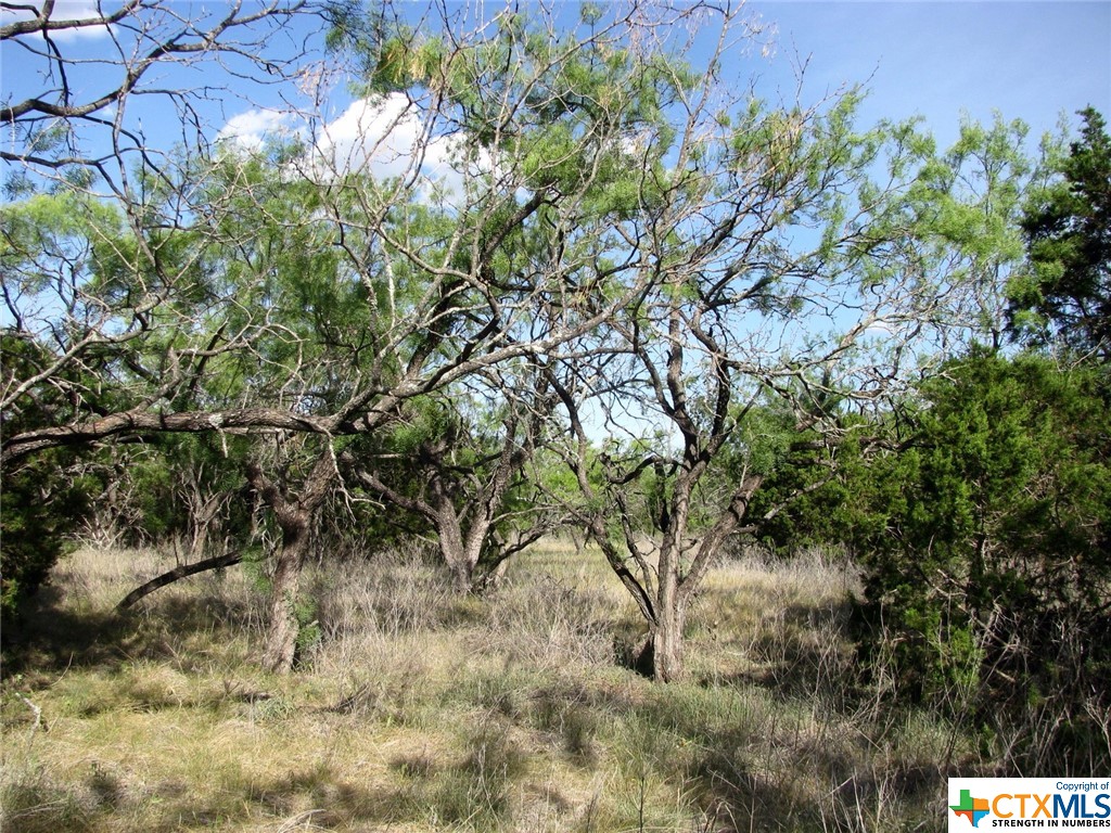 Lot 20 Ph 4 Pr 42126 Property Photo 4