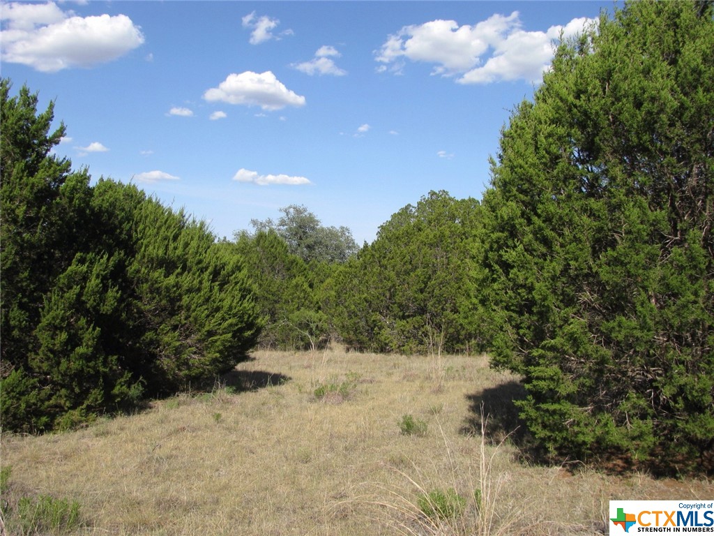 Lot 20 Ph 4 Pr 42126 Property Photo 9