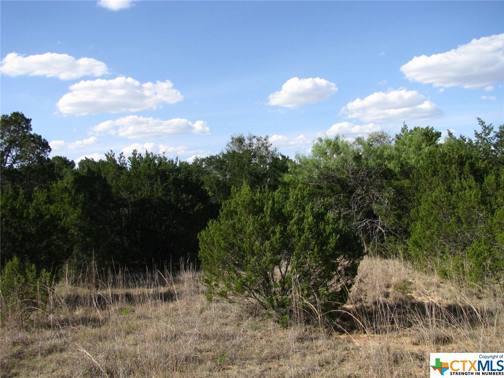 Lot 20 Ph 4 Pr 42126 Property Photo 10