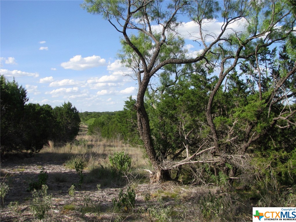Lot 20 Ph 4 Pr 42126 Property Photo 11