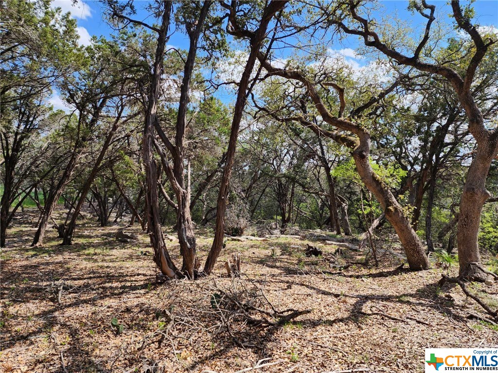 Lot 18 Forest Lake Drive Property Photo 1