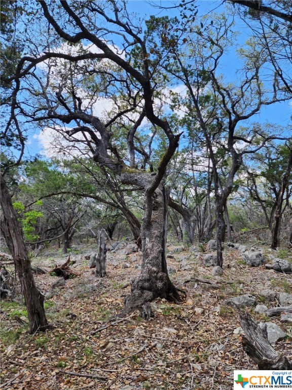 Lot 18 Forest Lake Drive Property Photo 2