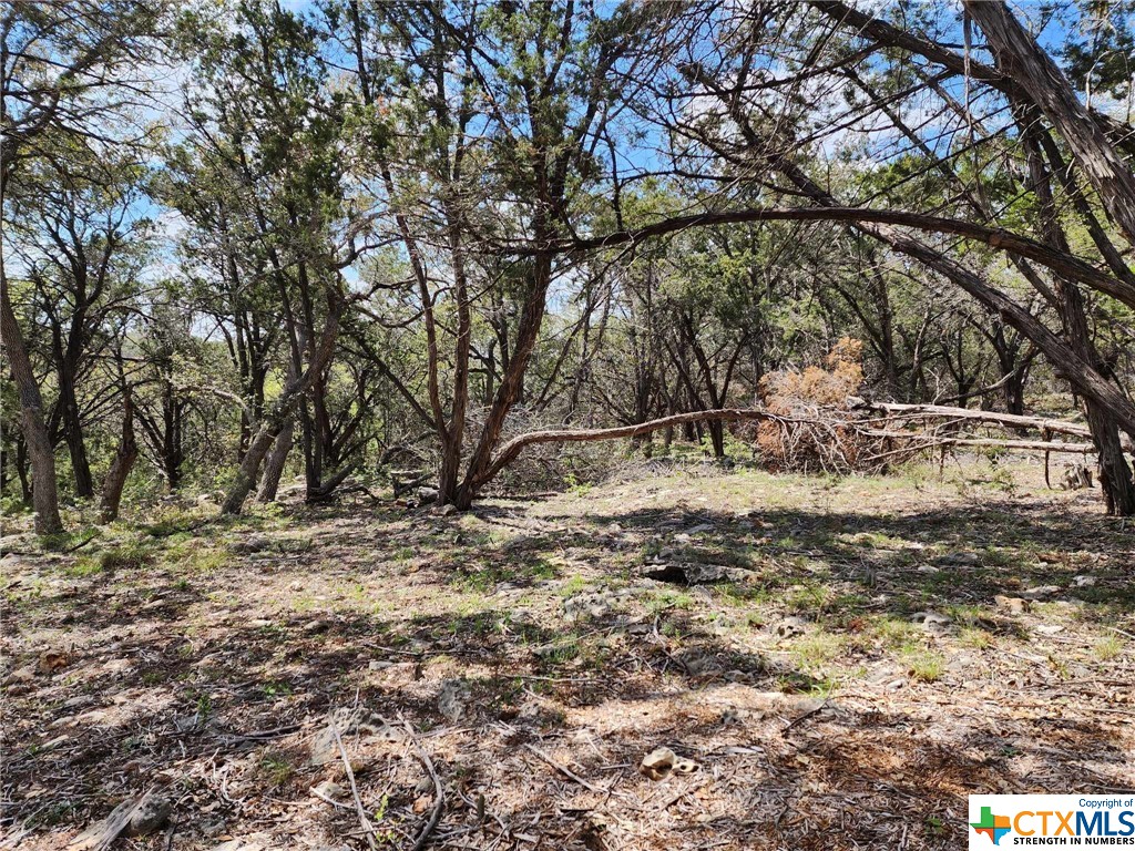 Lot 18 Forest Lake Drive Property Photo 3