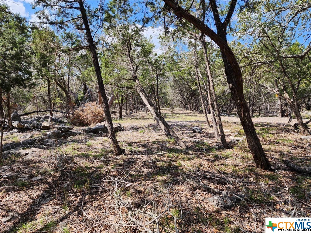 Lot 18 Forest Lake Drive Property Photo 4