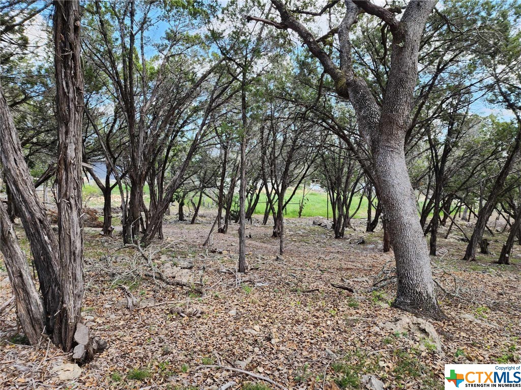 Lot 18 Forest Lake Drive Property Photo 5