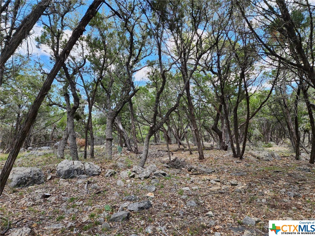 Lot 18 Forest Lake Drive Property Photo 6
