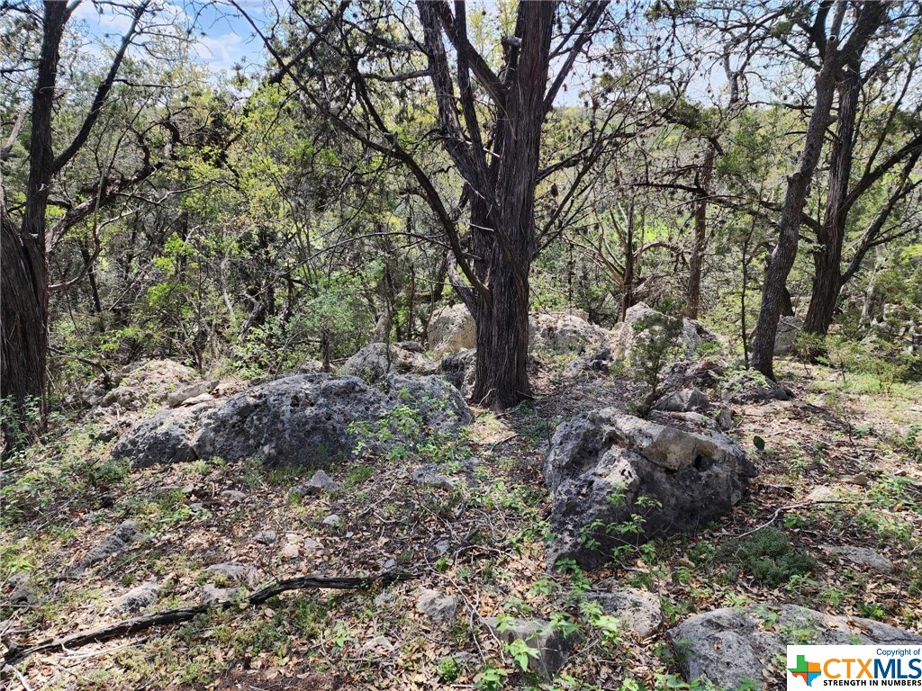 Lot 18 Forest Lake Drive Property Photo 7