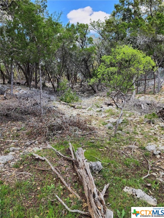 Lot 18 Forest Lake Drive Property Photo 8