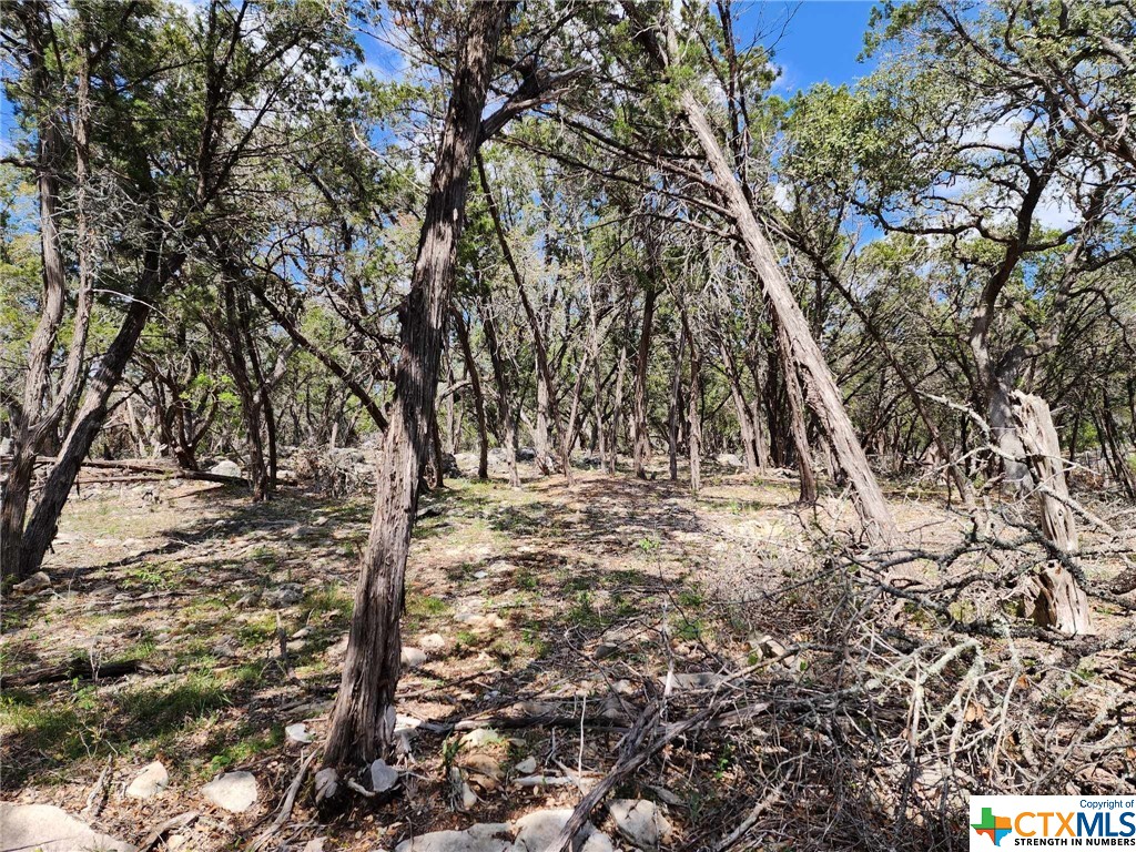 Lot 18 Forest Lake Drive Property Photo 9