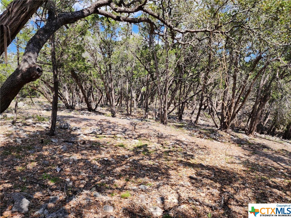 Lot 18 Forest Lake Drive Property Photo 10