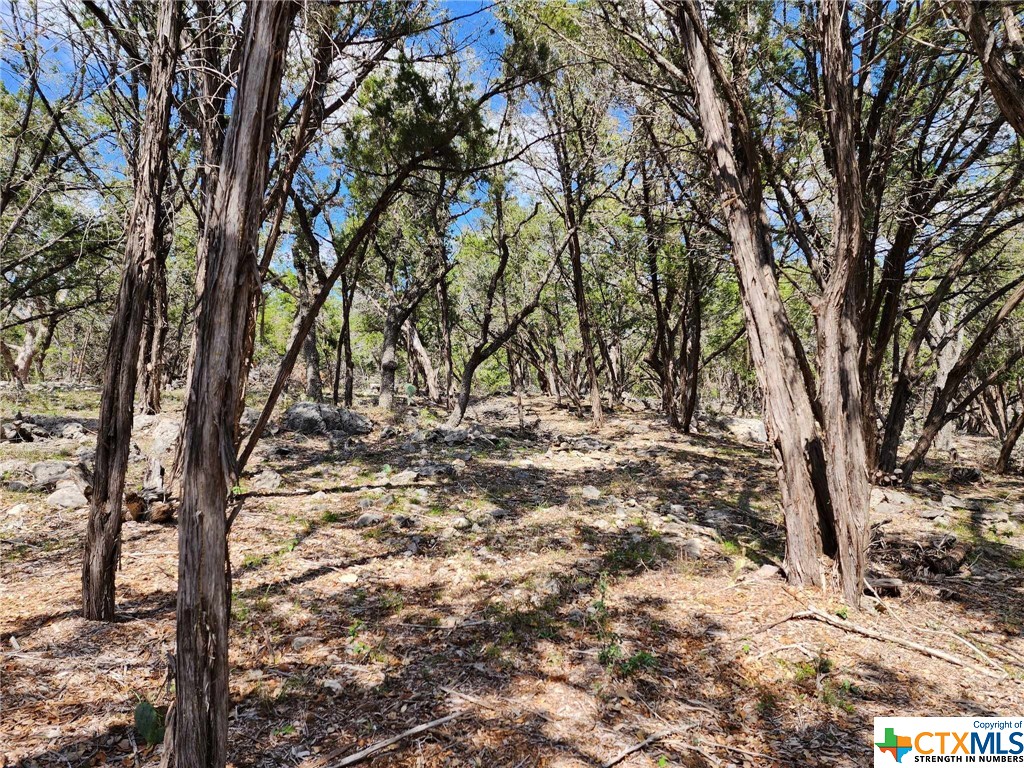 Lot 18 Forest Lake Drive Property Photo 11