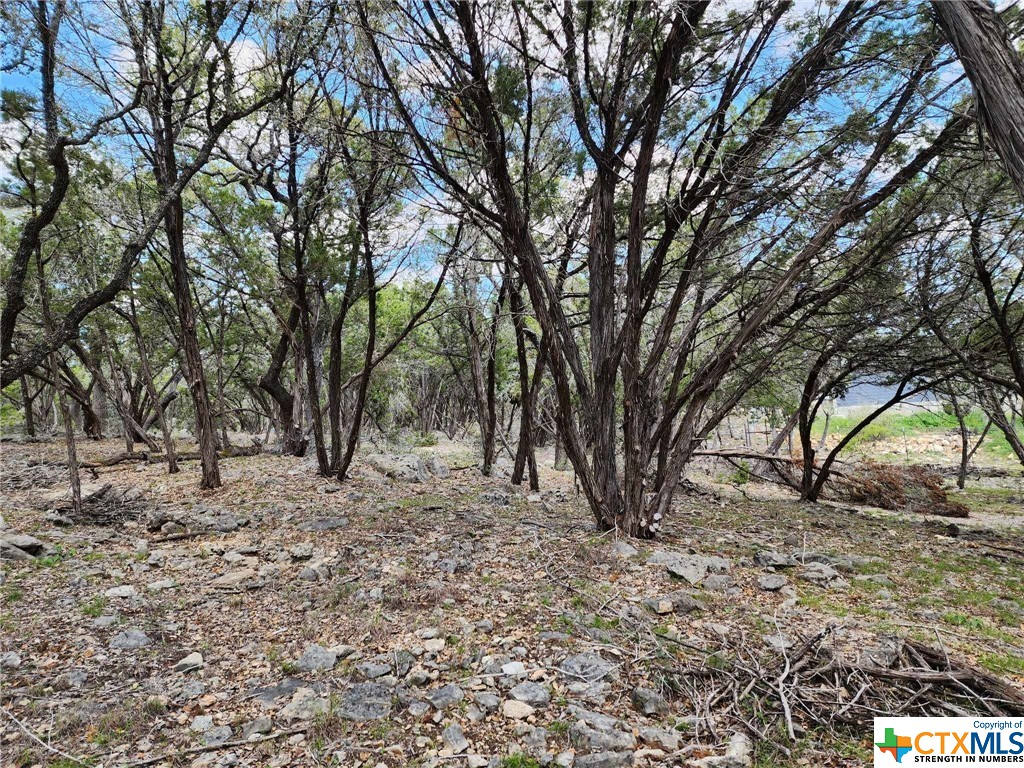Lot 18 Forest Lake Drive Property Photo 13