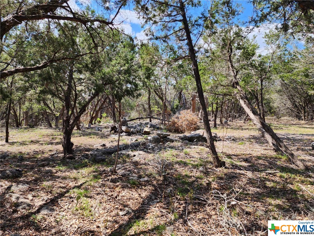 Lot 18 Forest Lake Drive Property Photo 14