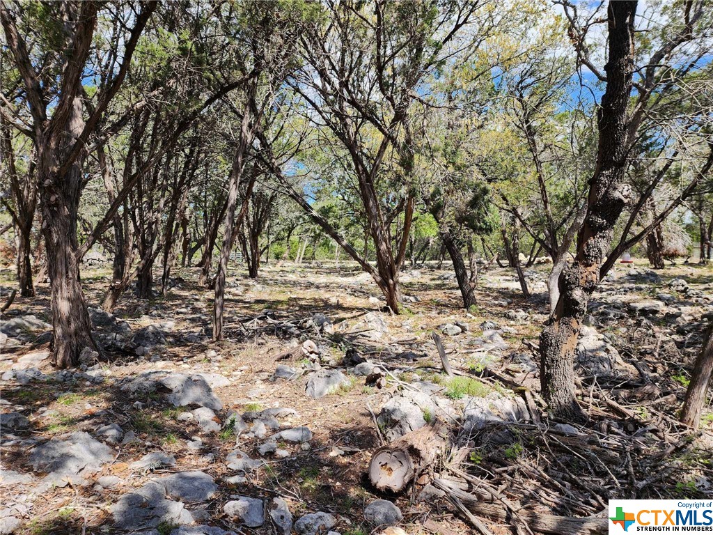 Lot 18 Forest Lake Drive Property Photo 15