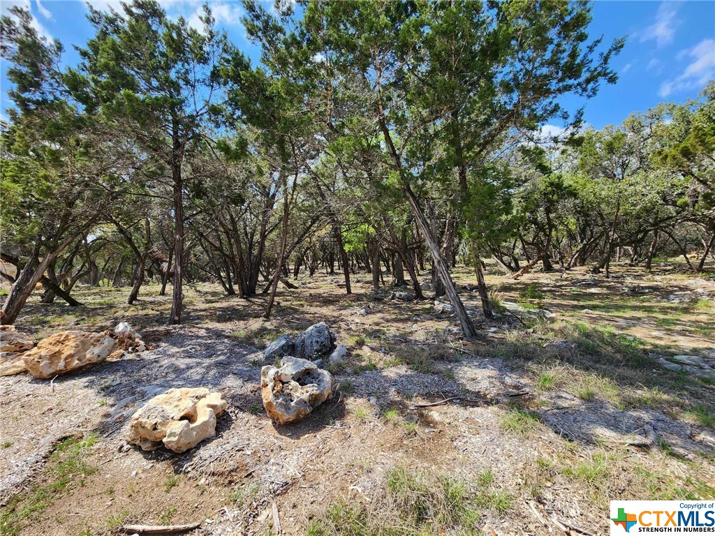 Lot 19 Forest Lake Drive Property Photo 1