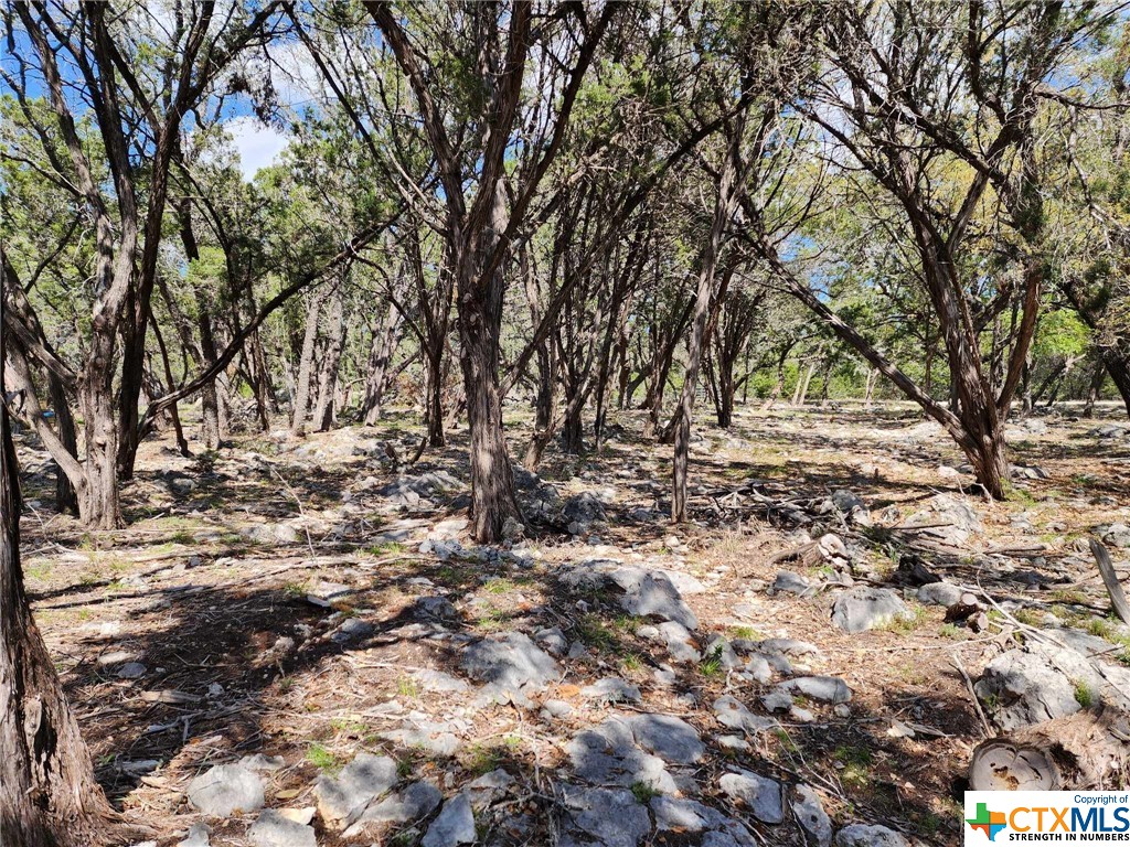 Lot 19 Forest Lake Drive Property Photo 2