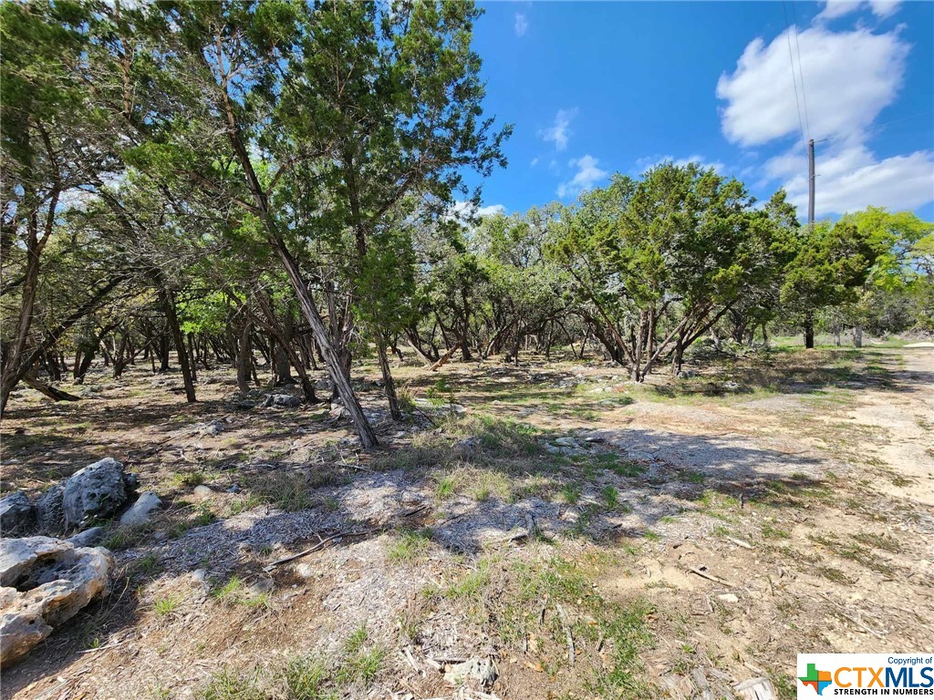 Lot 19 Forest Lake Drive Property Photo 3