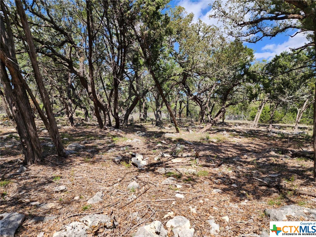 Lot 19 Forest Lake Drive Property Photo 4