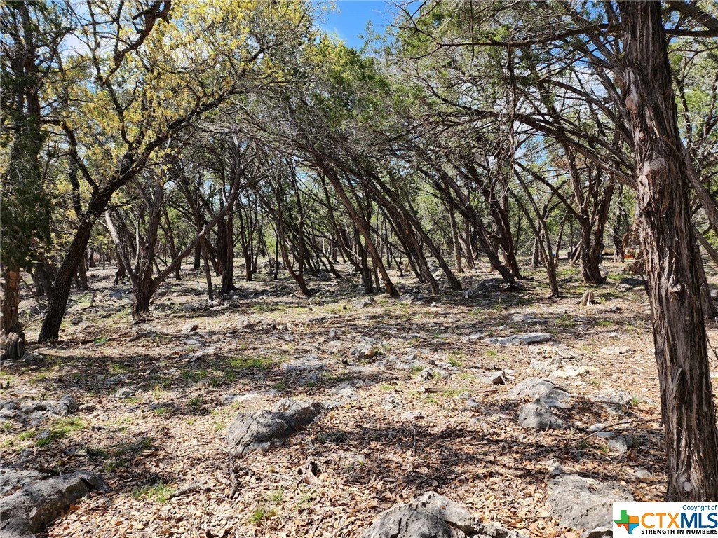 Lot 19 Forest Lake Drive Property Photo 5