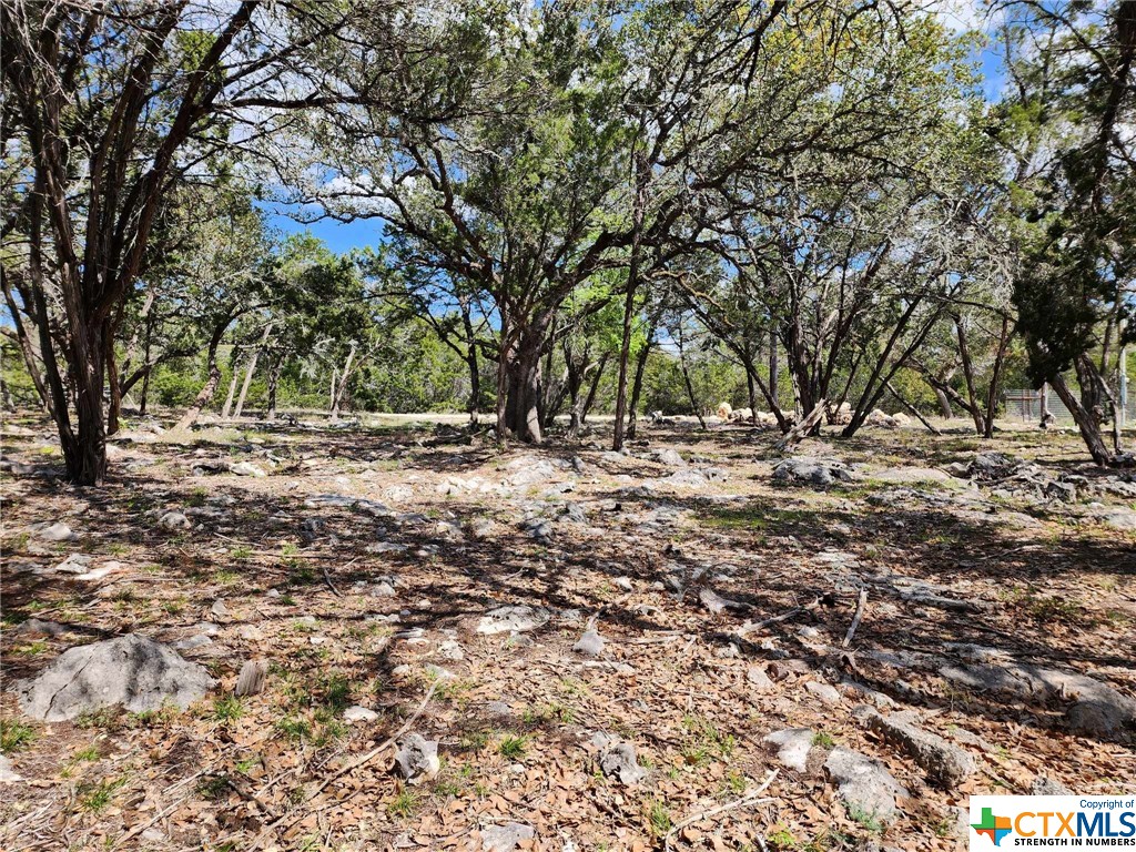 Lot 19 Forest Lake Drive Property Photo 7