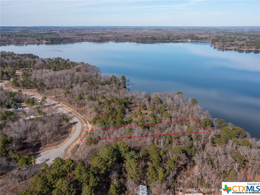 3108 Shadow Pine Drive, Larue Property Photo 5