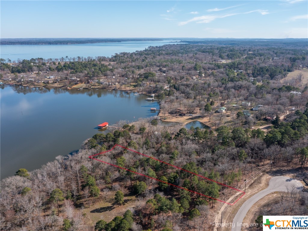 3108 Shadow Pine Drive, Larue Property Photo 9