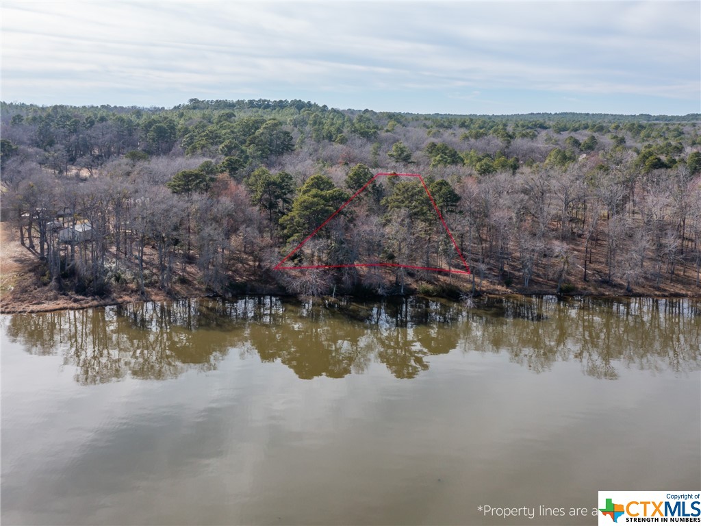 3108 Shadow Pine Drive, Larue Property Photo 10