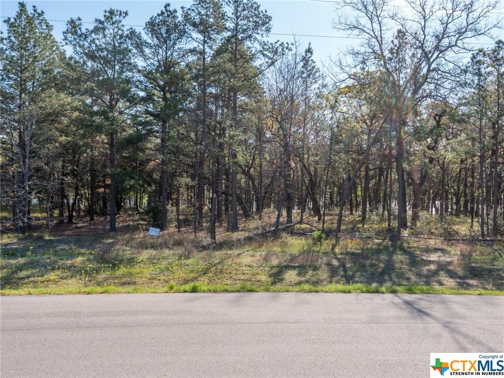 3108 Shadow Pine Drive, Larue Property Photo 11