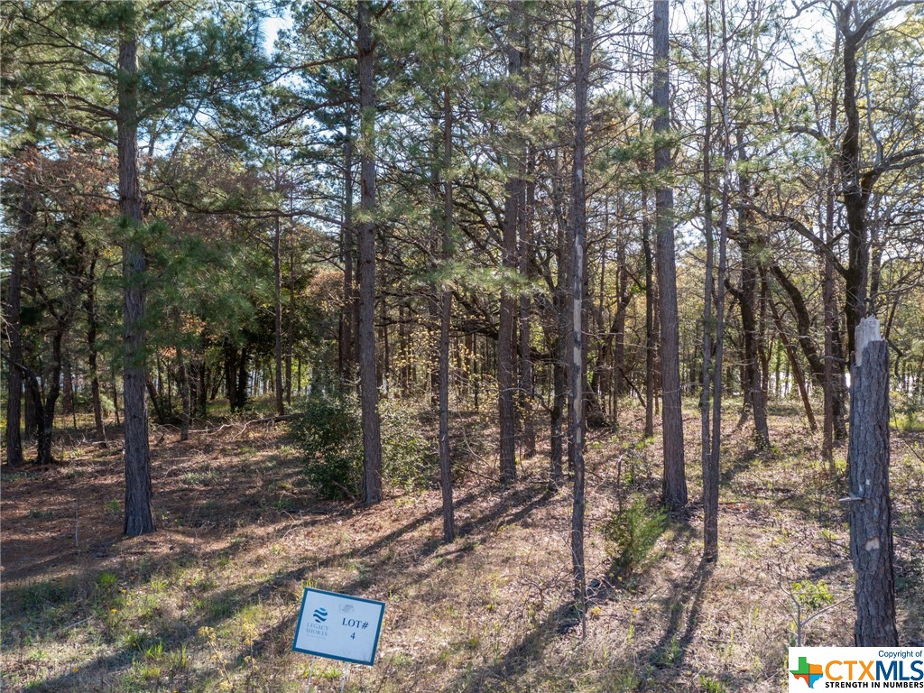 3108 Shadow Pine Drive, Larue Property Photo 13