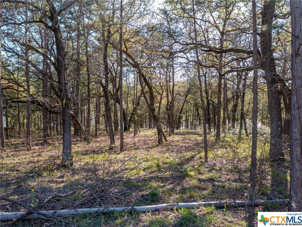 3108 Shadow Pine Drive, Larue Property Photo 14