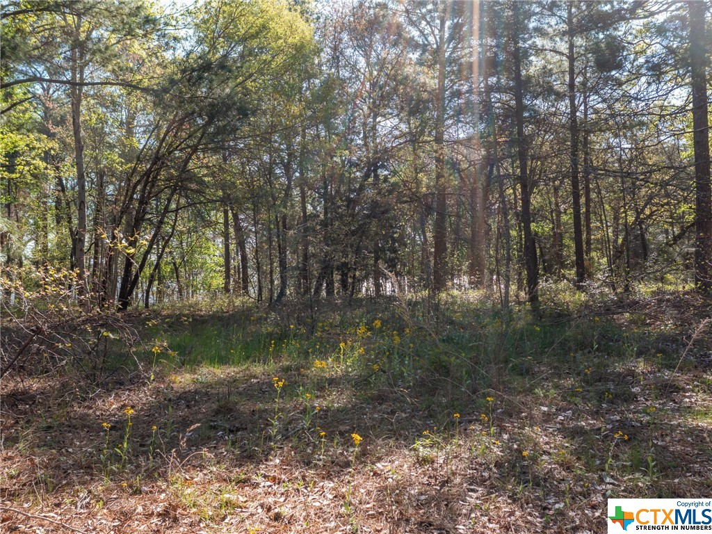 3108 Shadow Pine Drive, Larue Property Photo 15