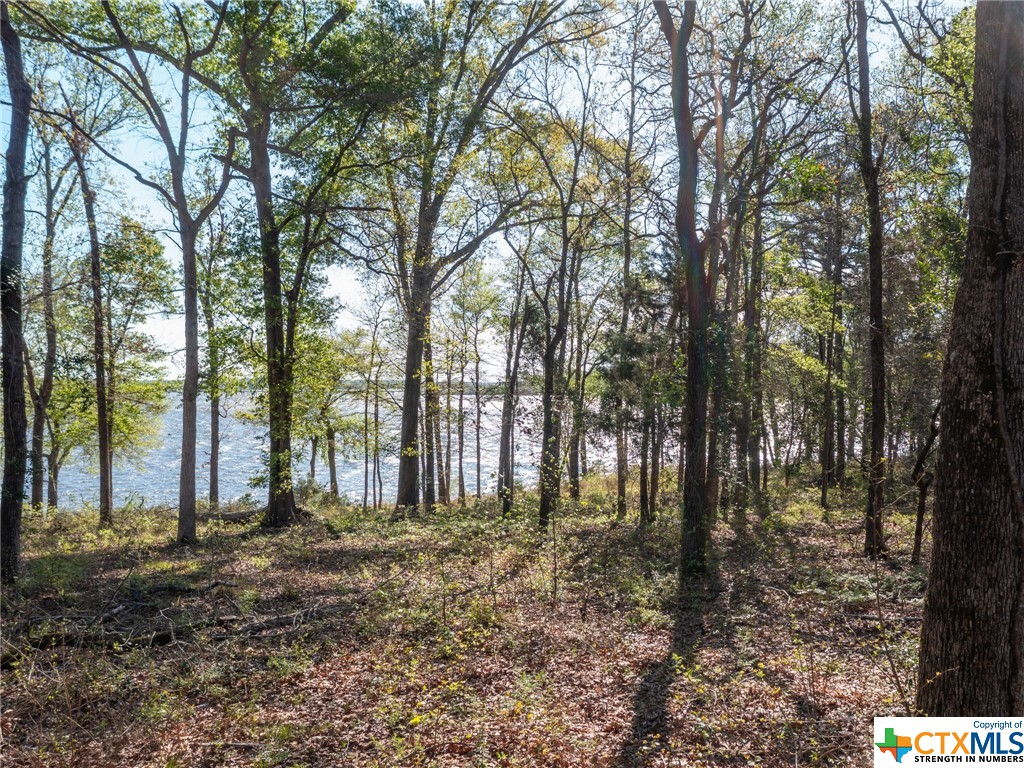 3108 Shadow Pine Drive, Larue Property Photo 16