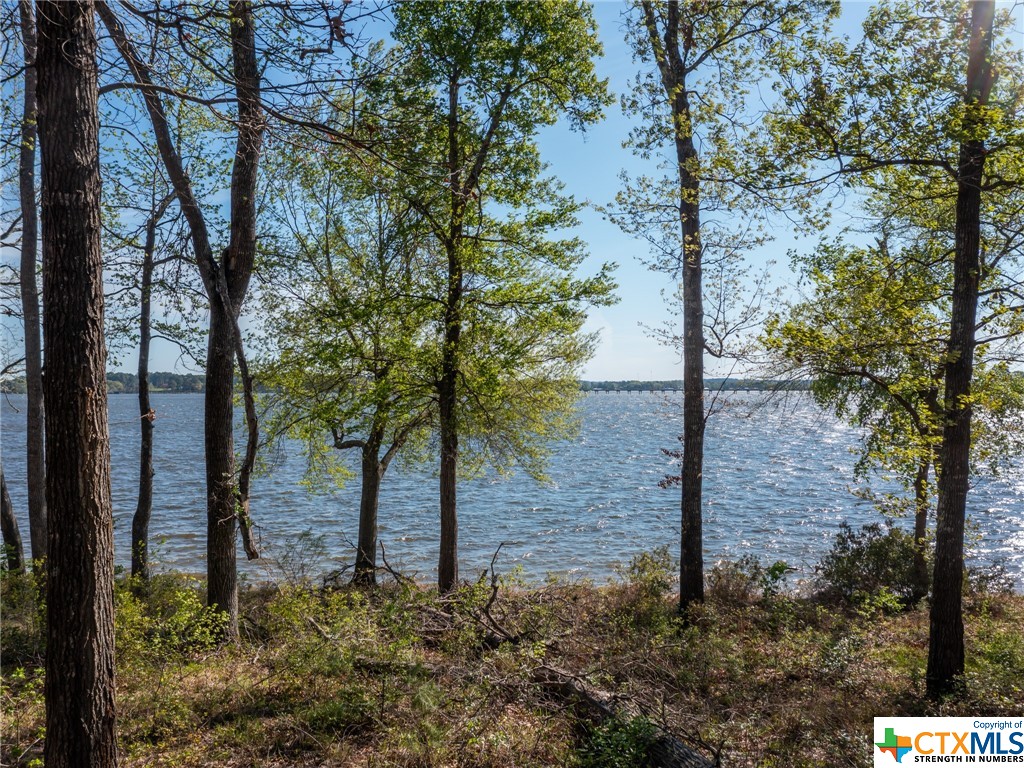 3108 Shadow Pine Drive, Larue Property Photo 17