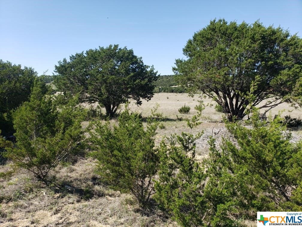 Lot 9 Cottonwood Mesa Drive Property Photo 6