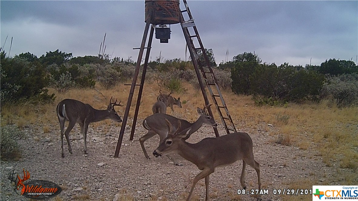 000 Ward Ranch Rd Property Photo 20