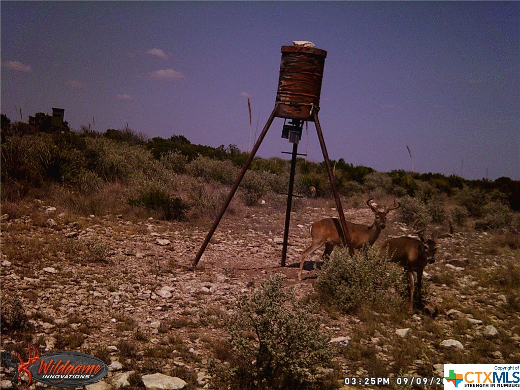 000 Ward Ranch Rd Property Photo 21