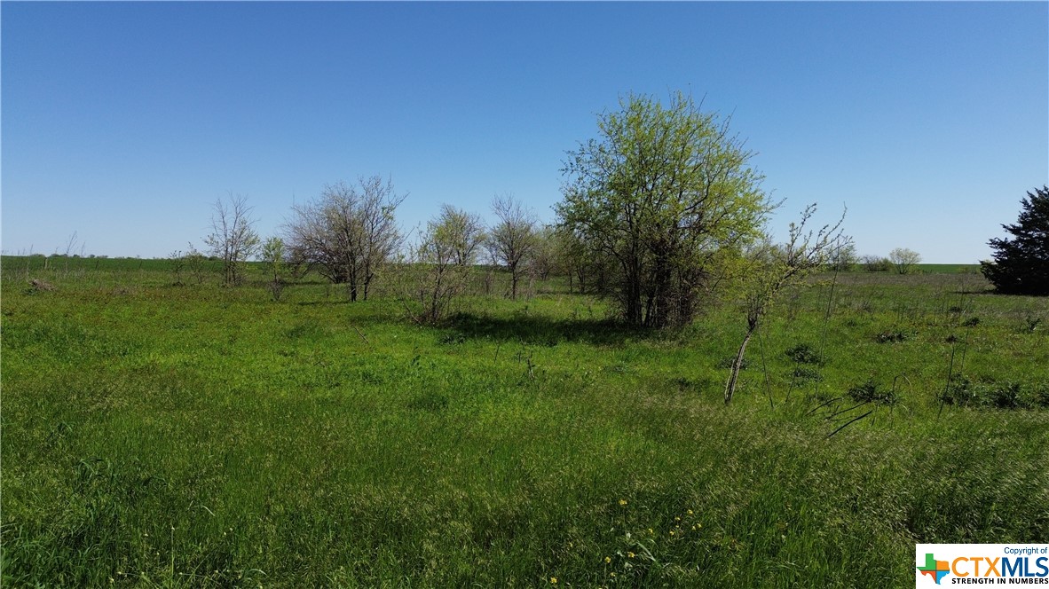 Lot 1 Tbd Cr 452 Property Photo 6