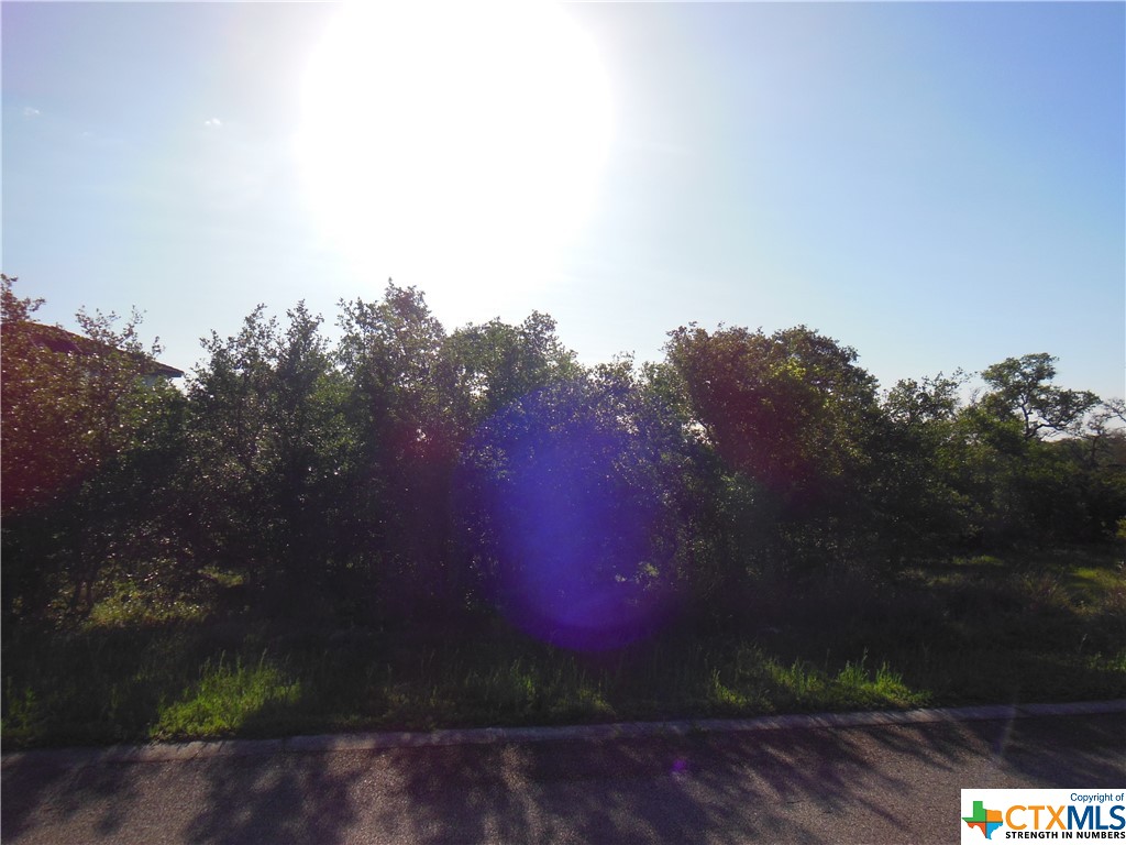 5728 Copper Forest Property Photo 1