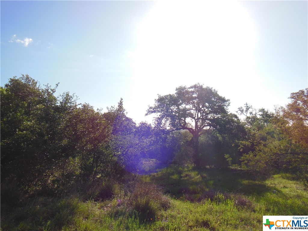 5728 Copper Forest Property Photo 2