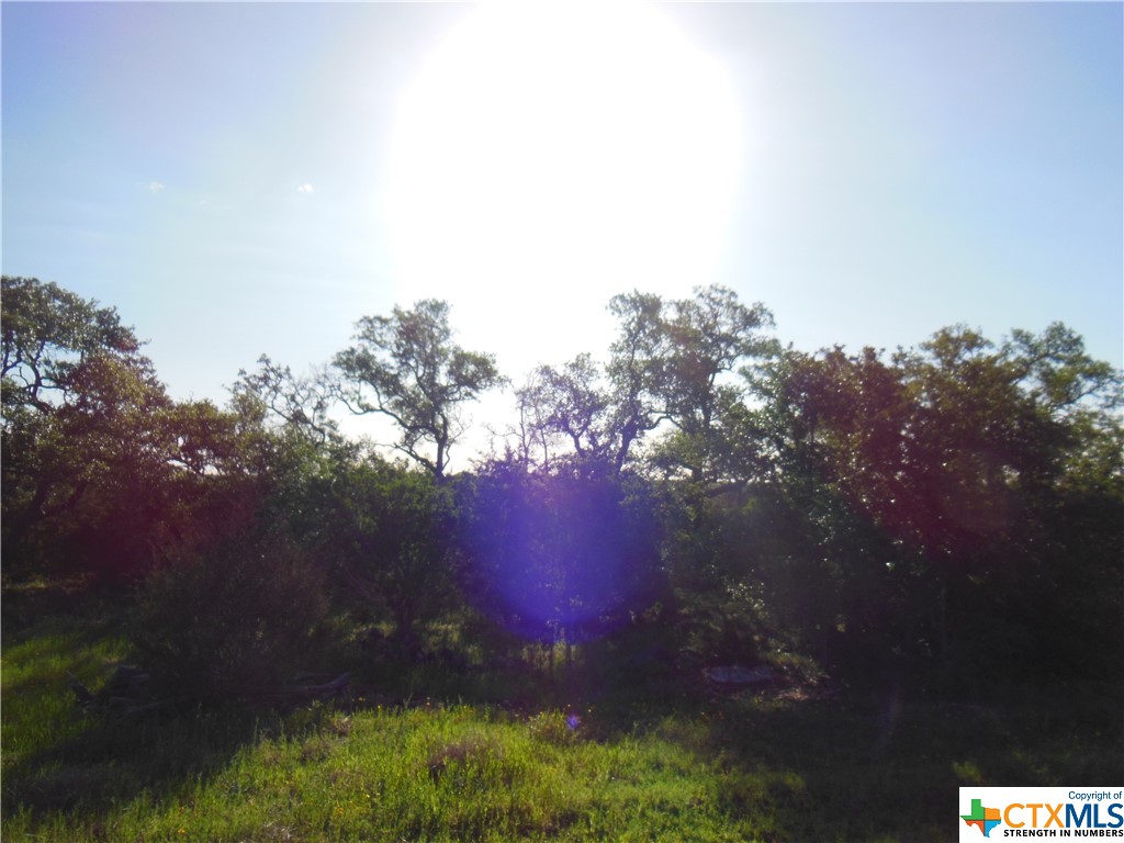 5728 Copper Forest Property Photo 3