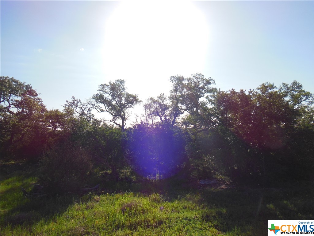 5728 Copper Forest Property Photo 4