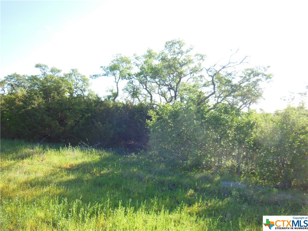 5728 Copper Forest Property Photo 5