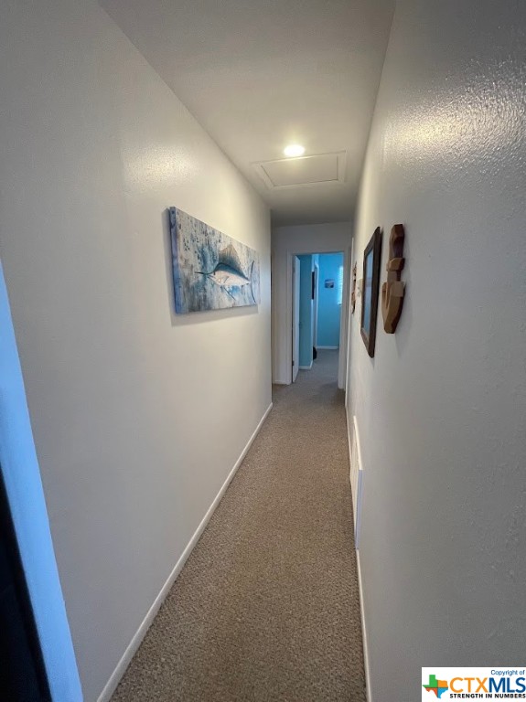 1225 Riviera Drive Property Photo 22
