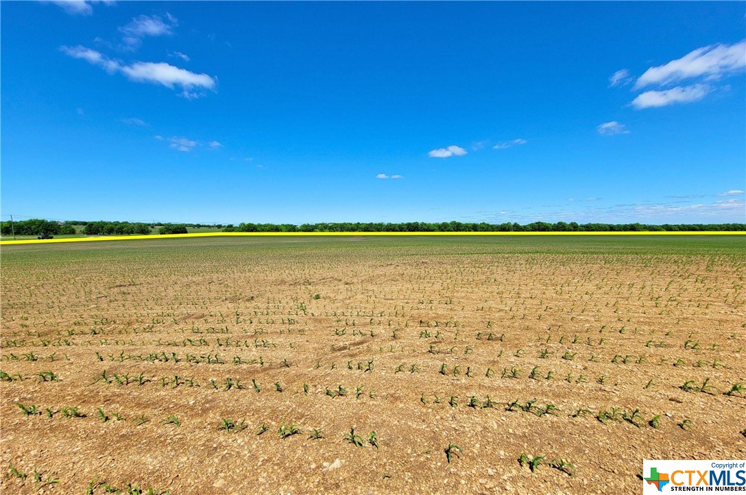 Tbd Wortham Bend Road Property Photo 10