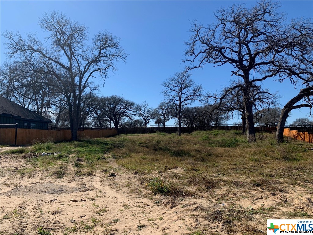 205 Ash Parkway Property Photo 4