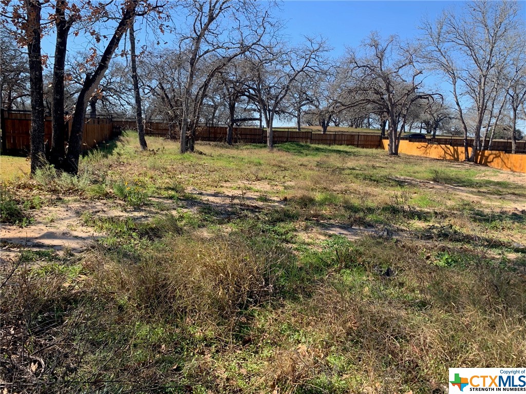 205 Ash Parkway Property Photo 7